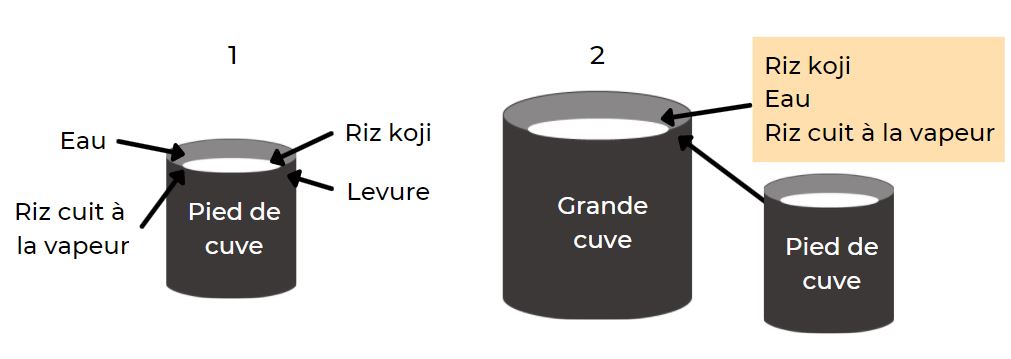 brassage du saké fermentation